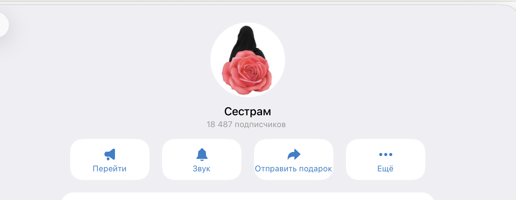 Telegram канал Сёстрам — 18 487 подписчиков